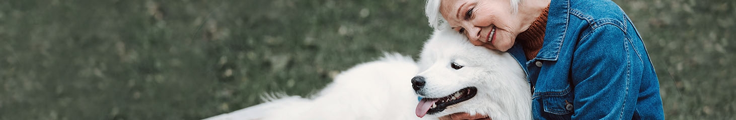 Gentle Doctor Animal Hospital Gentle Doctor Animal Hospital