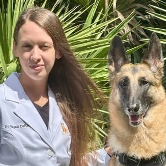 Dr. Abigail DeRouenDVM, Practice Limited to Surgery Dr. Abigail DeRouenDVM, Practice Limited to Surgery