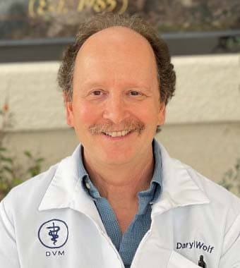 Dr. Daryl WolfDVM Dr. Daryl WolfDVM