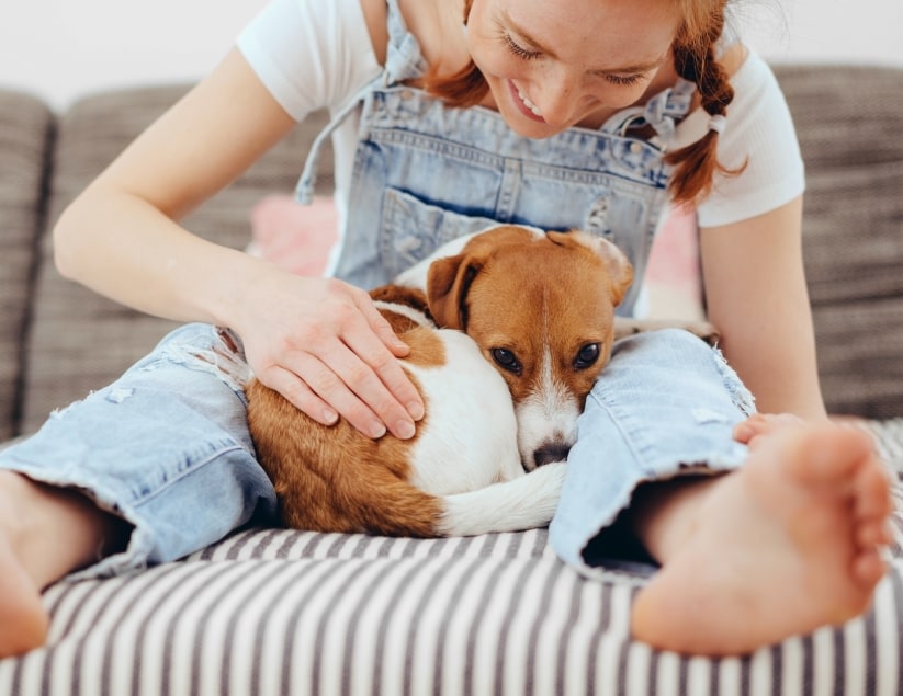 Snellville Animal Hospital Hero Image Snellville Animal Hospital Hero Image