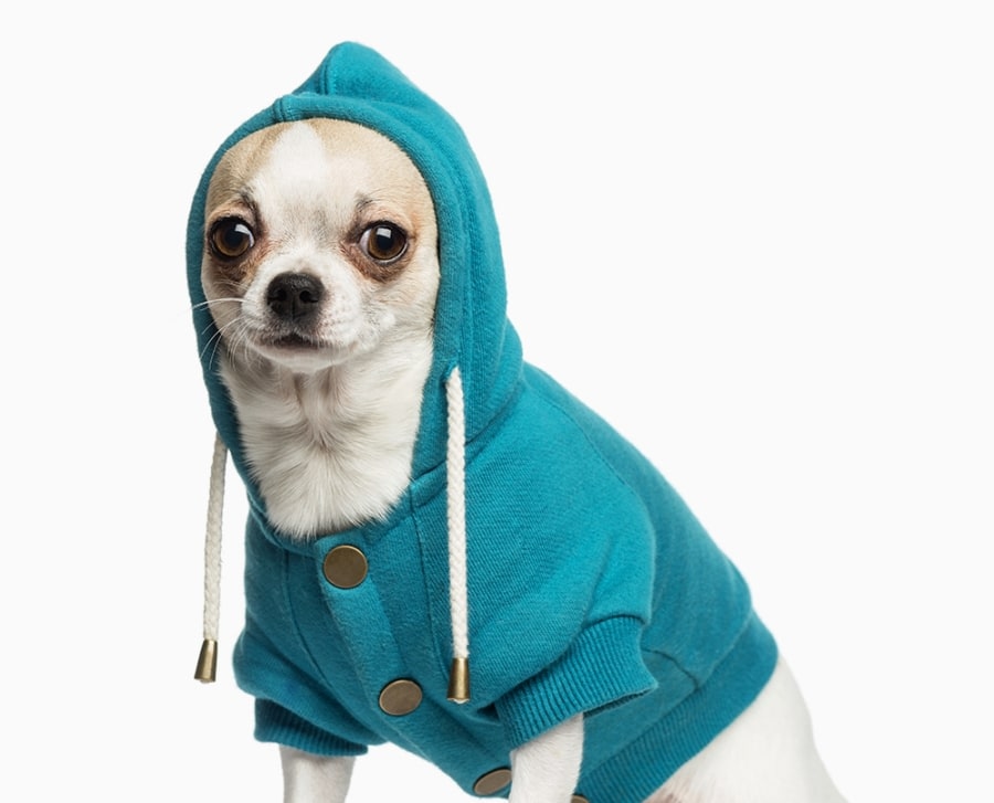 Oakwood Animal Hospital Hero Image Oakwood Animal Hospital Hero Image